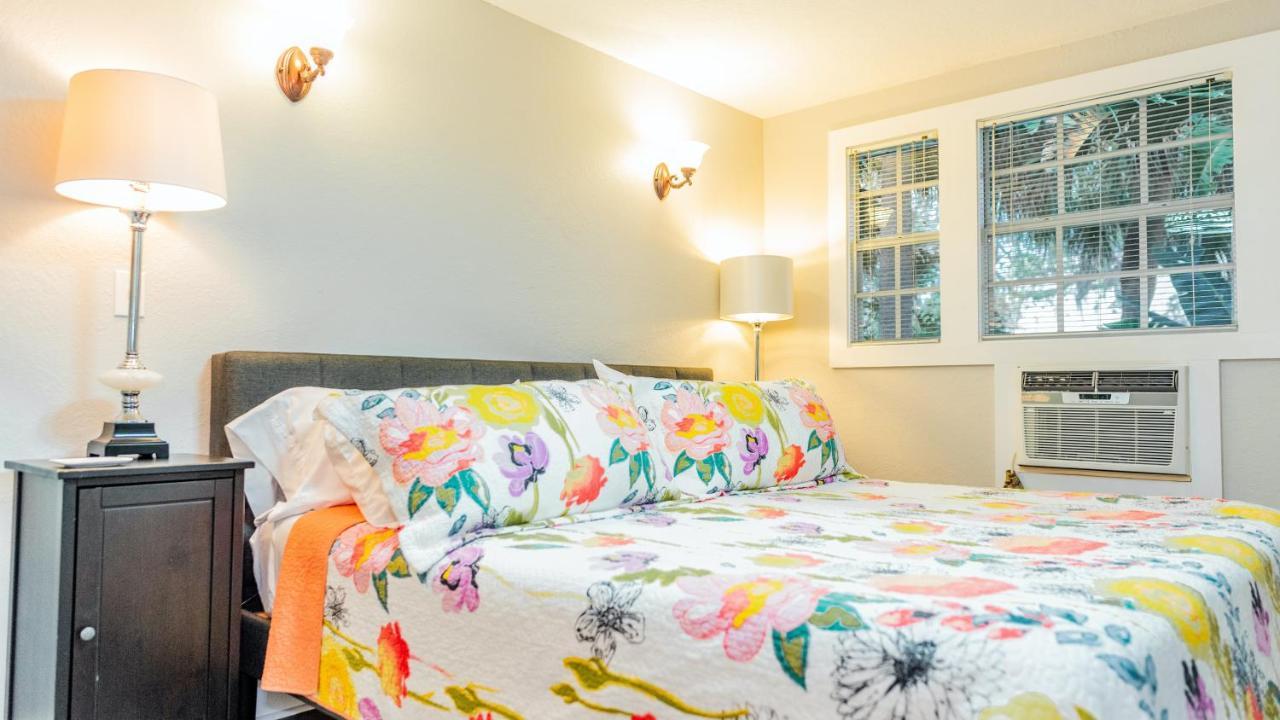 Meranova Guest Bed and breakfast Dunedin